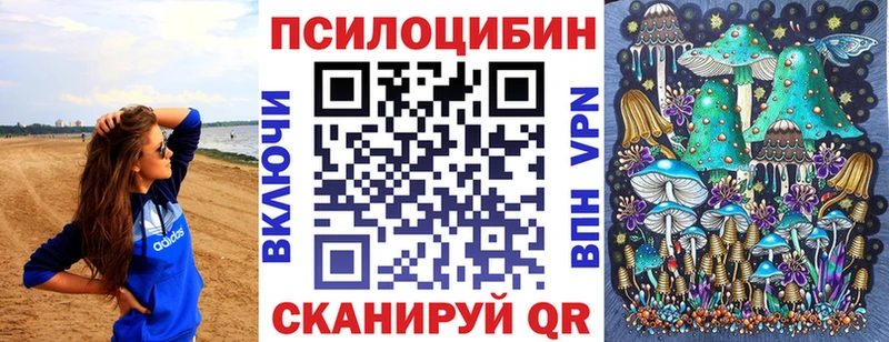 Галлюциногенные грибы Magic Shrooms  Куровское 