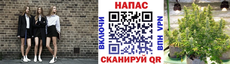 Шишки марихуана индика  как найти   Куровское 